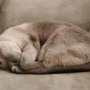 Meet your Posher, Laurianne